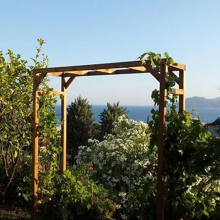 Oasis Vue Avec 4 Piscine Jardin Villa Cannes