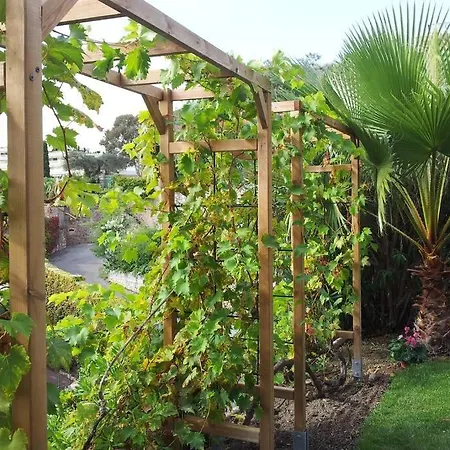 Oasis Vue Avec 4 Piscine Jardin Villa Cannes