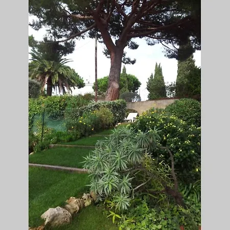 Villa Oasis Vue Avec 4 Piscine Jardin Cannes