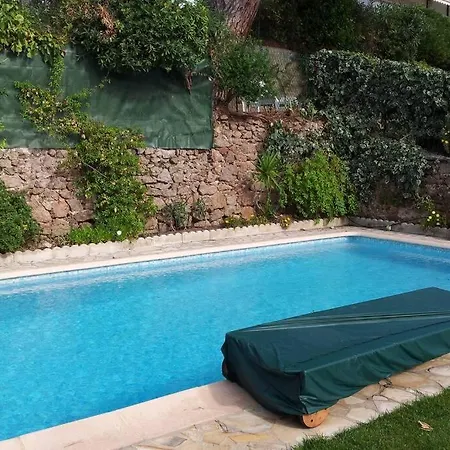 Oasis Vue Avec 4 Piscine Jardin